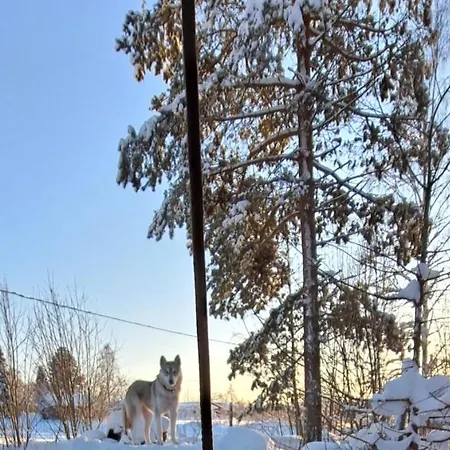 Kalliorannan Lomapirtti Séjour chez l'habitant Keitele
