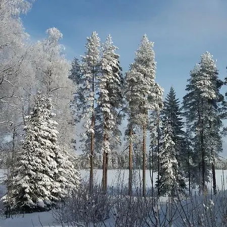 Kalliorannan Lomapirtti Keitele
