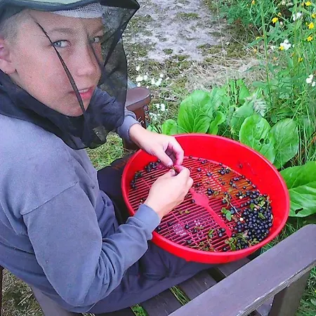 Kalliorannan Lomapirtti Séjour chez l'habitant Keitele